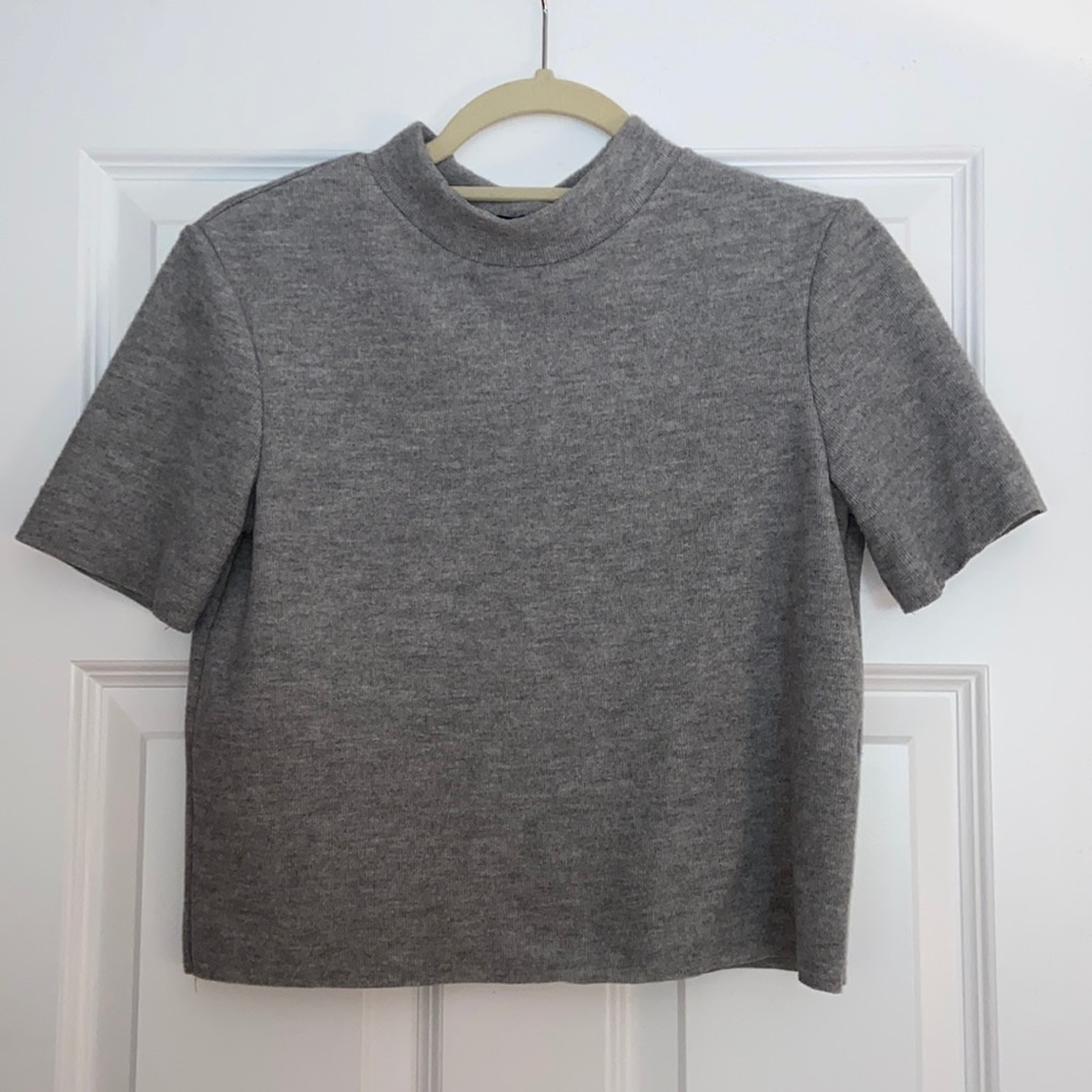 Cropped grey shirt from Zara. Very soft, cotton material.